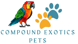 Exotic Reptiles & Pets for Sale