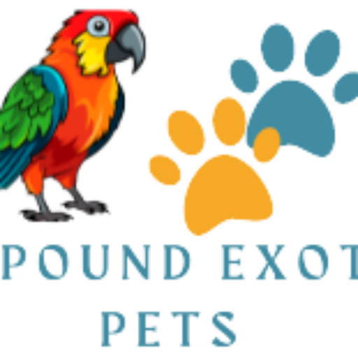 payment-delivery-exotic-reptiles-pets-for-sale